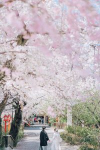 m_0002.jpg | 和装ロケ