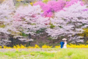 07_sashikae | 和装ロケ