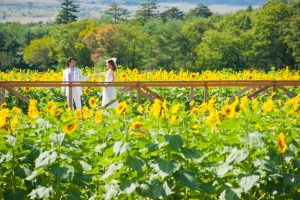 A_0068 | 洋装ロケ