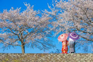 DRC_0704 | 和装ロケ