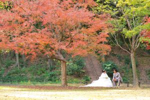 DSC_4850 | 洋装ロケ