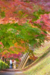 M_0184 | 和装ロケ