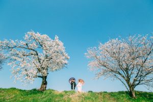 a-0219 | 和装ロケ