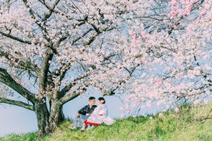 a-0239 | 和装ロケ