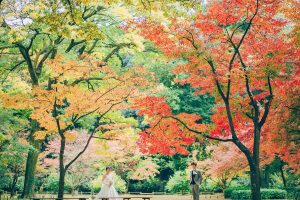 mm_0211 | 和装ロケ